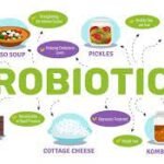 The Most Important Attributes of Probiotics