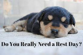 Do You Need a Rest Day?