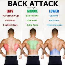 You've Had a Back Attack. Now What?