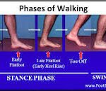 Imbalances in Walking Biomechanics