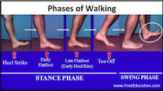 Imbalances in Walking Biomechanics