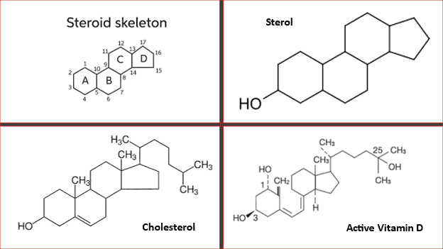 cholesterol