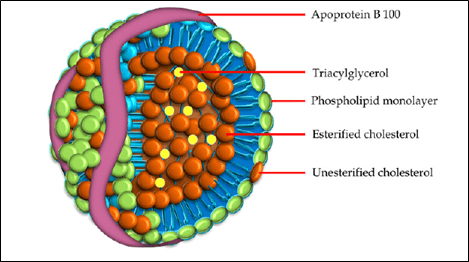 cholesterol