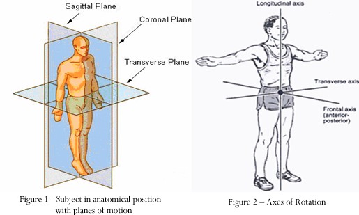 axis of rotation and planes of the human body