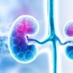 Low Carb & Kidney Health