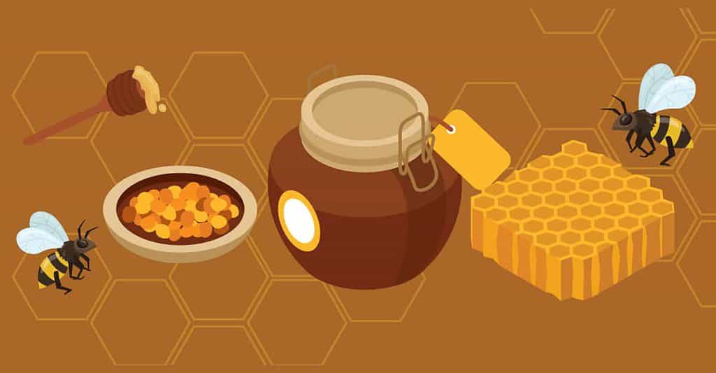 There’s More to the Honeybee Than Honey