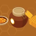 There’s More to the Honeybee Than Honey