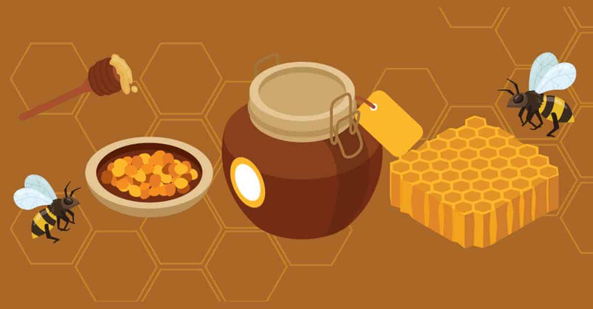 There’s More to the Honeybee Than Honey
