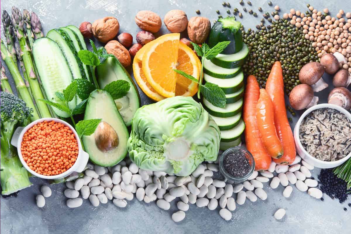 plant-base diet