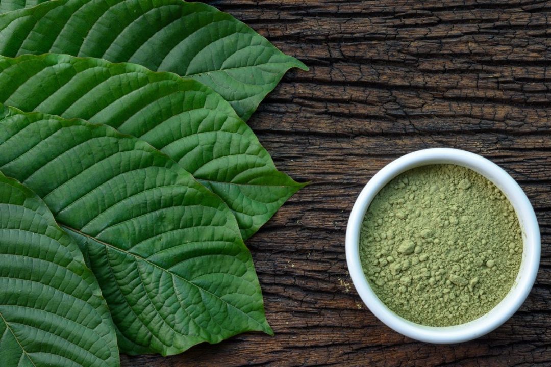 What You Need to Know Before Diving in For a Healthy Lifestyle with Kratom