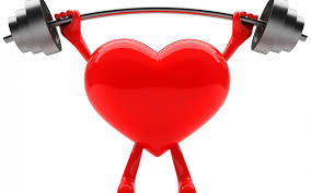 Cardiovascular Guidelines-Your Comprehensive Guide to Heart-Healthy Workouts