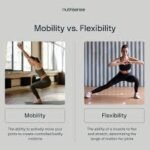 People demonstrating flexibility and mobility