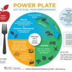 An image of a balanced nutrition plate
