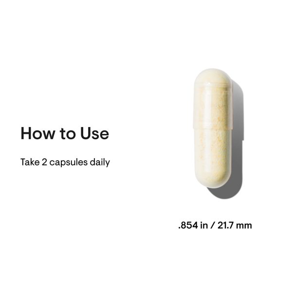 Thorne Basic Nutrients