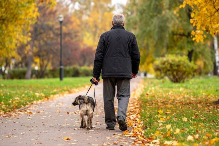The Role of Companion Animals in Promoting Social Interaction and Wellness for Aging Adults