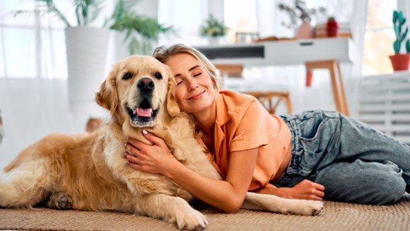 The Role of Pets in Reducing Stress and Anxiety