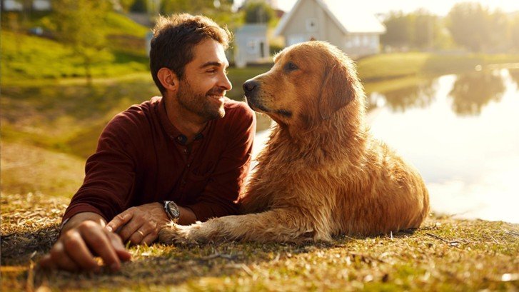 How Dogs Contribute to a Healthy Lifestyle