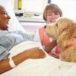 The Role of Pet Therapy in Mental Health