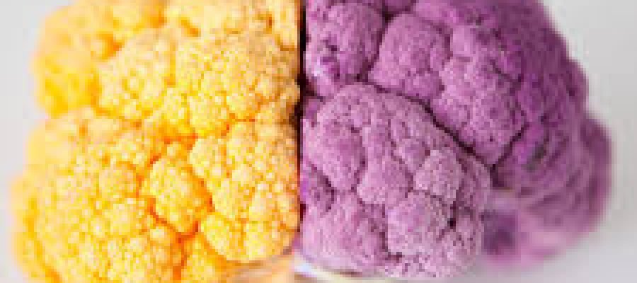 12 Best Brain Booster Supplements and Cognitive Enhancement Pill