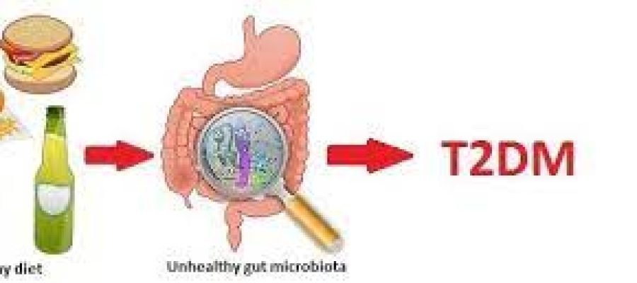 Diabetes in the Gut