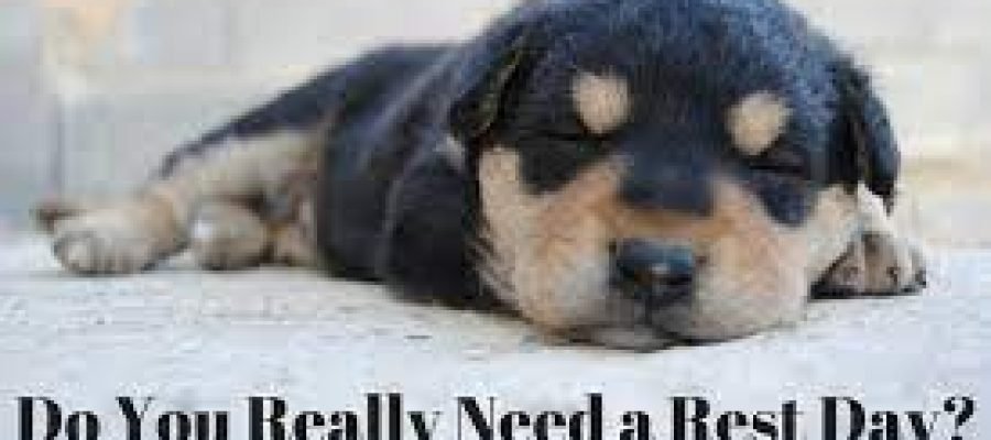 Do You Need a Rest Day?