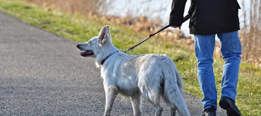 Head-to-Toe Health Tips for People with Diabetes