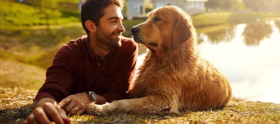 How Dogs Contribute to a Healthy Lifestyle