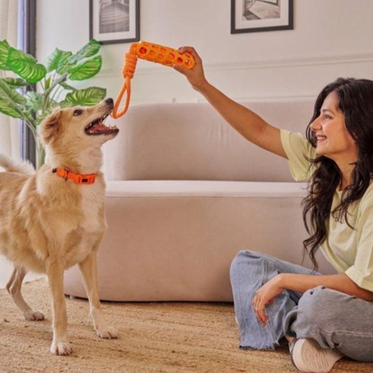 A woman sitting on the floor playing with her dog.