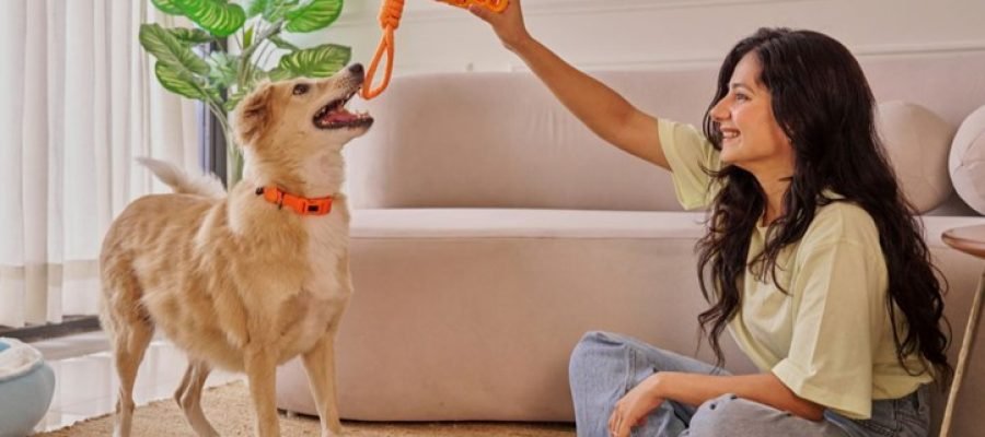 A woman sitting on the floor playing with her dog.
