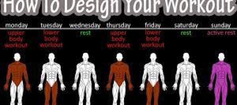 How to Build Your Own Workout Routines