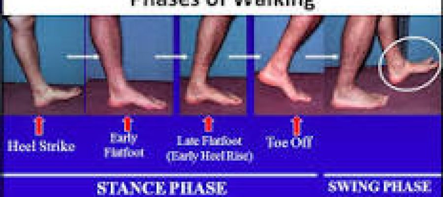 Imbalances in Walking Biomechanics