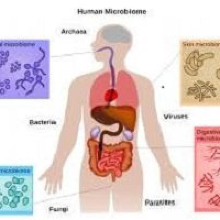 Microbiome