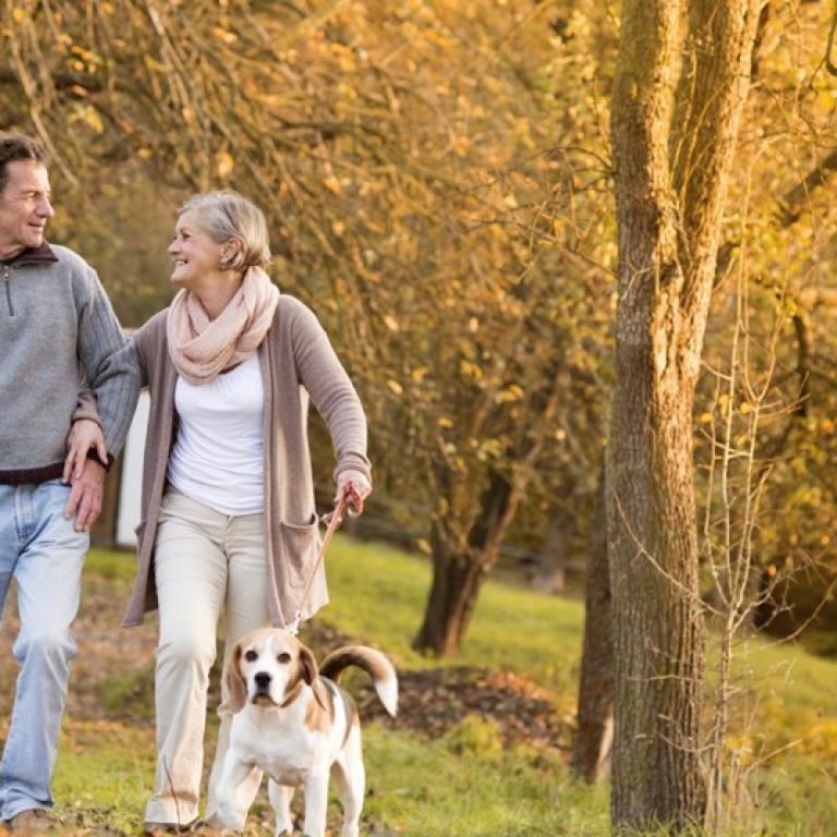 A man and woman walking with their dog.