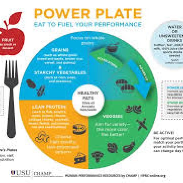 An image of a balanced nutrition plate