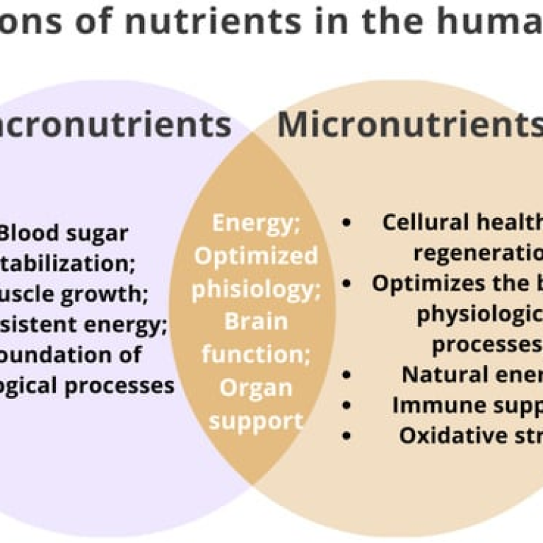 The Difference between Macronutrients and Micronutrients (And Why Both Matter)