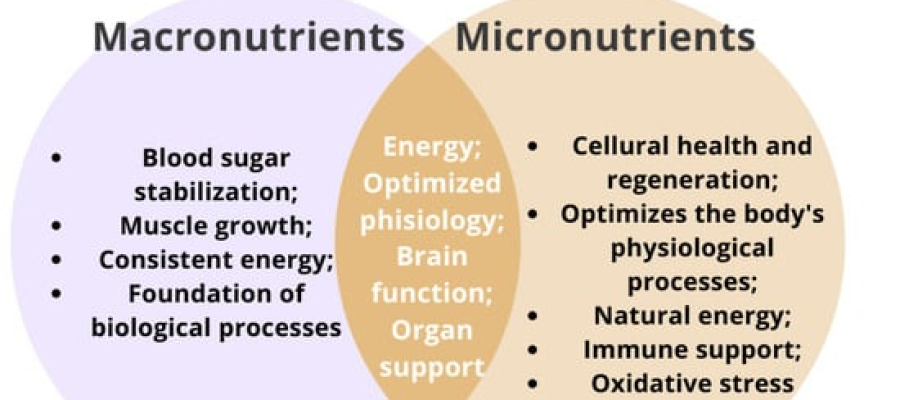 The Difference between Macronutrients and Micronutrients (And Why Both Matter)