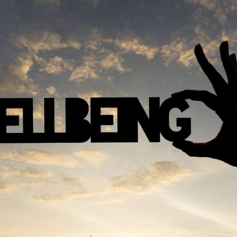 The Impact of Attitude and Mindfulness on Daily Routines and Overall Well-Being