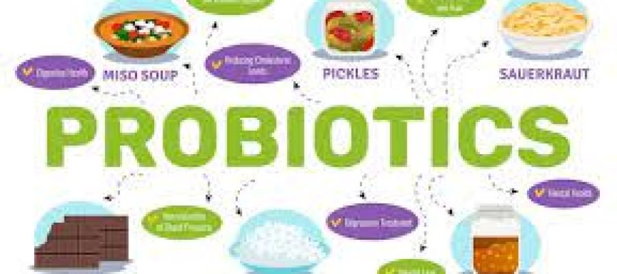 The Most Important Attributes of Probiotics