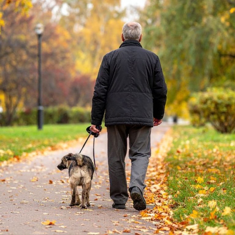 The Role of Companion Animals in Promoting Social Interaction and Wellness for Aging Adults