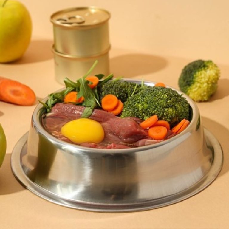 A dog dish with healthy food.
