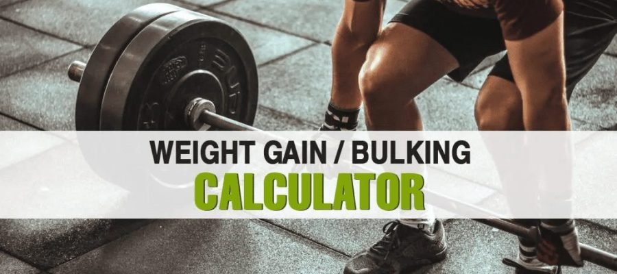 weight gain calculator