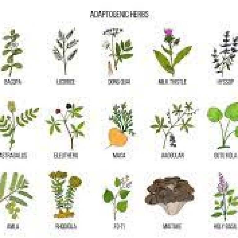 What Are Adaptogenic Herbs?