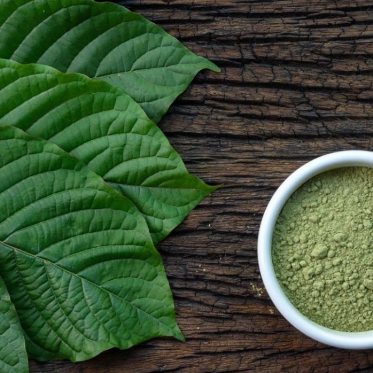 What You Need to Know Before Diving in For a Healthy Lifestyle with Kratom