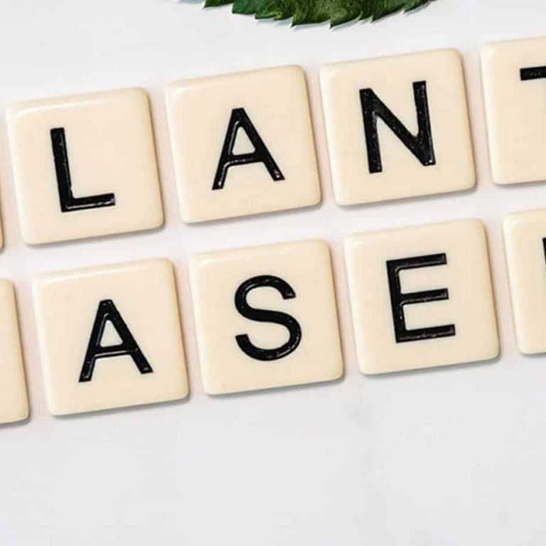 Why Plant-Based-Foods Are the Hot New Dietary Trend