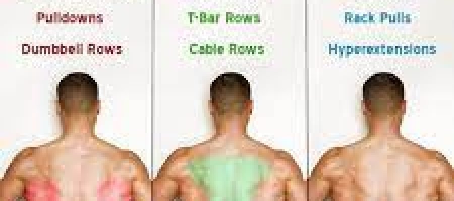 You've Had a Back Attack. Now What?