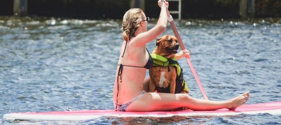 health, fitness, nutrition, wellness