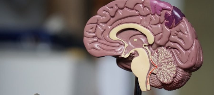 health, fitness, nutrition, wellness